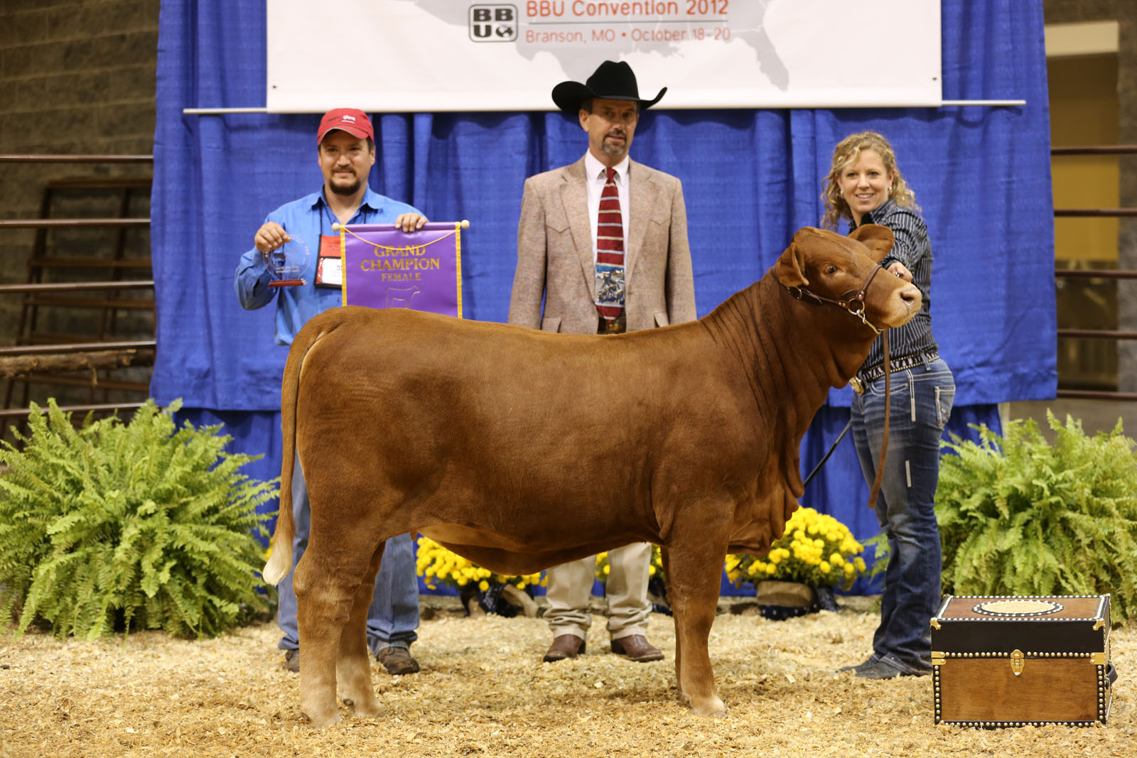 Grand Champion<br>WR Baby Lisa