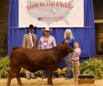 Reserve Grand Champion