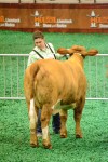 Alex Jurica and her heifer, Lil Miss Swagger