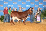 Reserve Calf Champion<br>Tassin Family