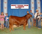 2012 West Texas Fair