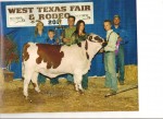 Reserve Grand Champion