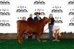 Reserve Grand Champion<br>#61 Shawn Skaggs