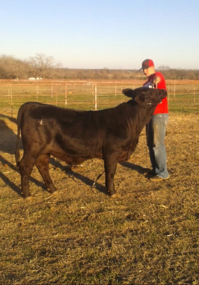 Lot 17