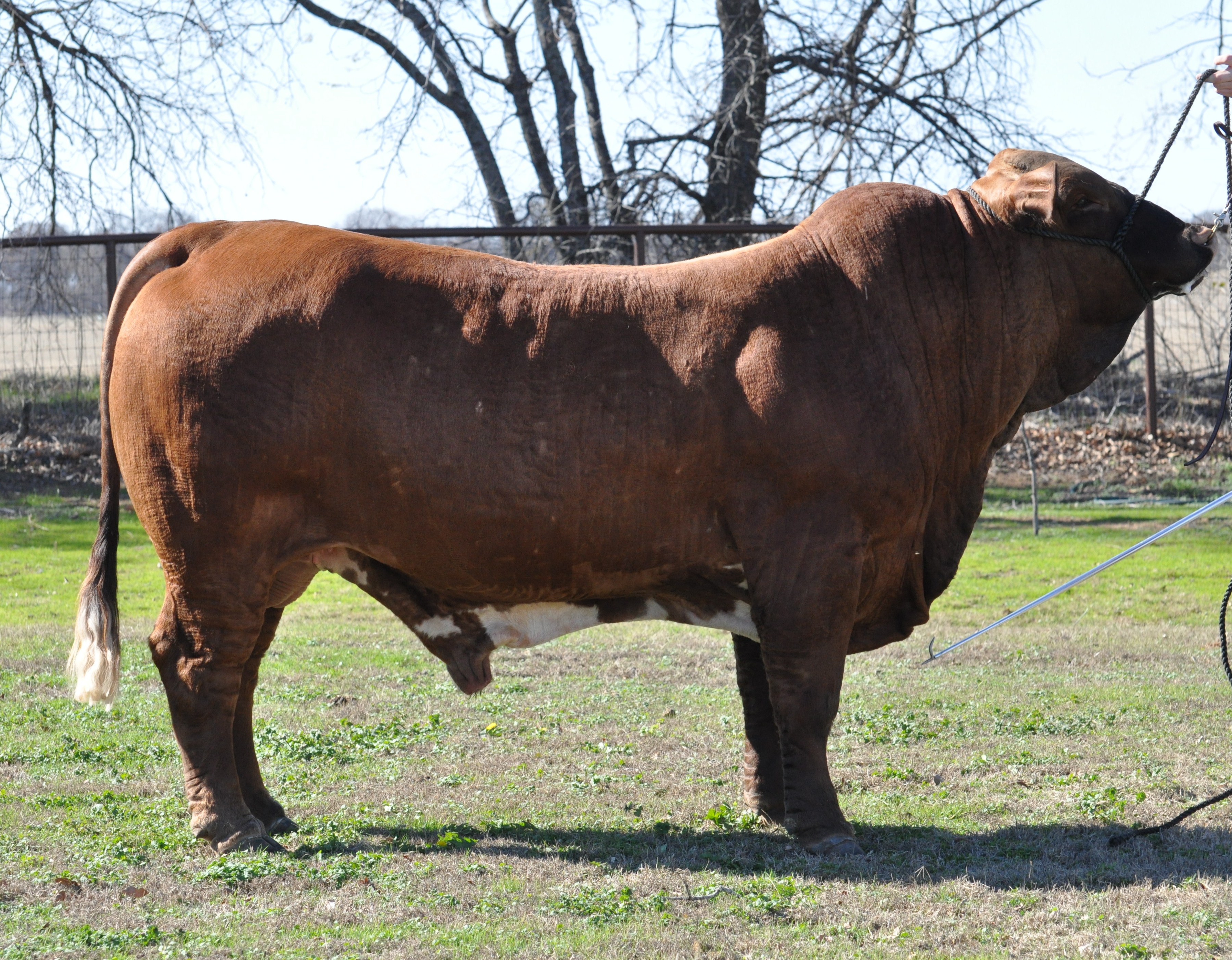 Lot 25