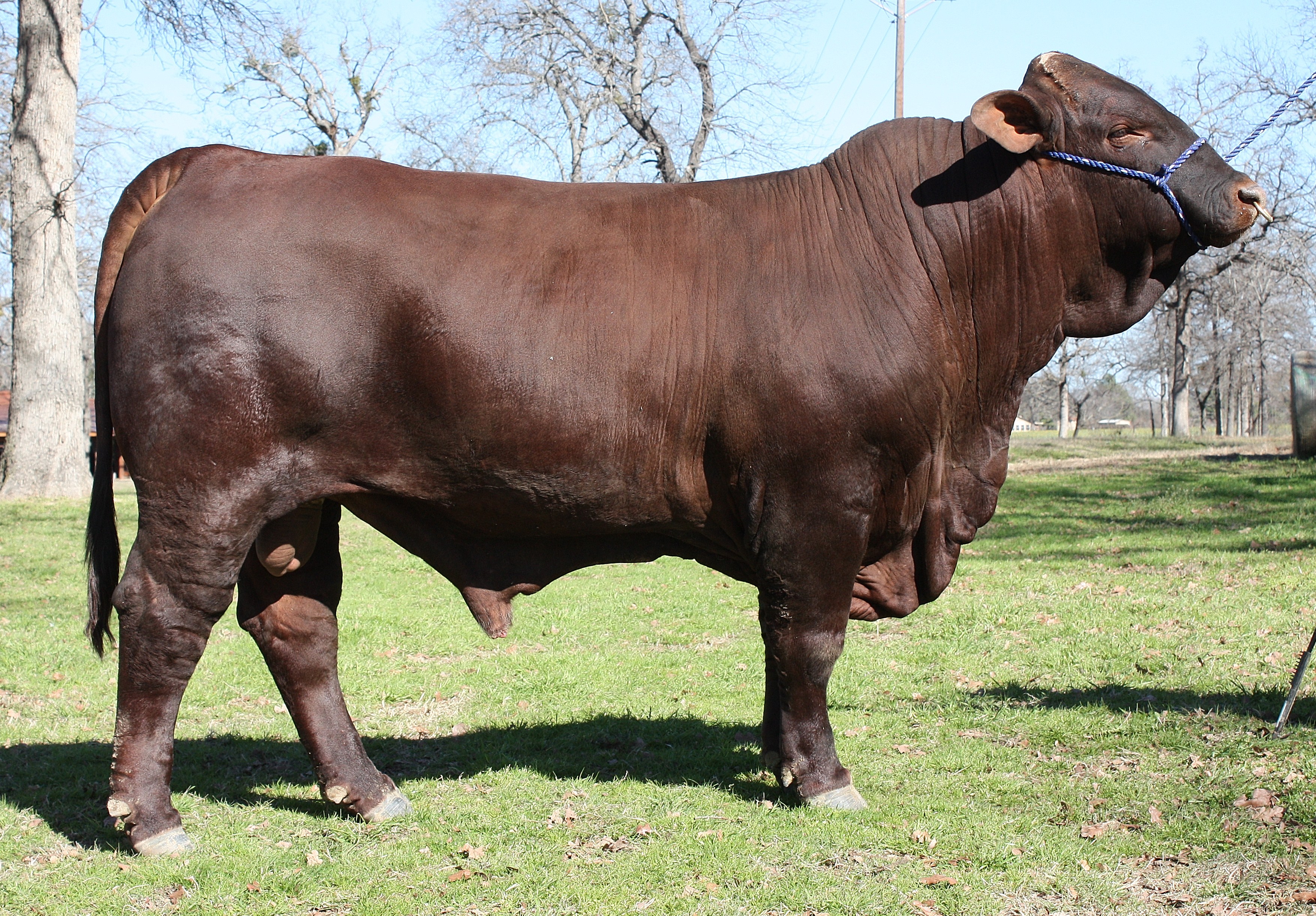 Lot 27