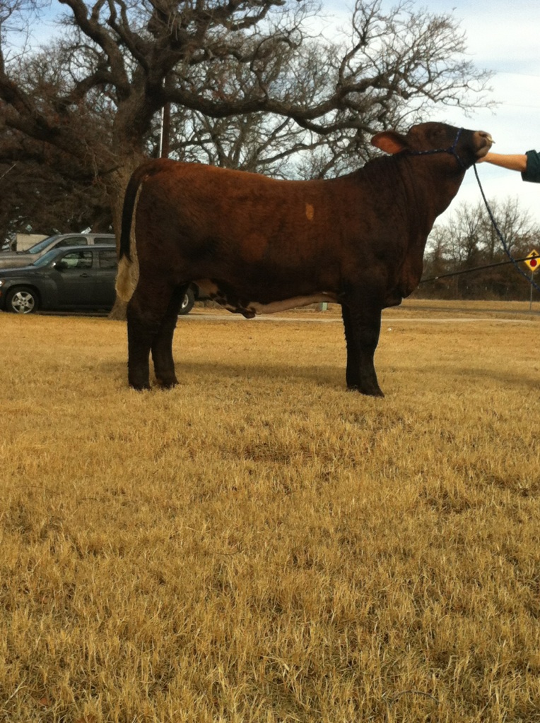Lot 2C