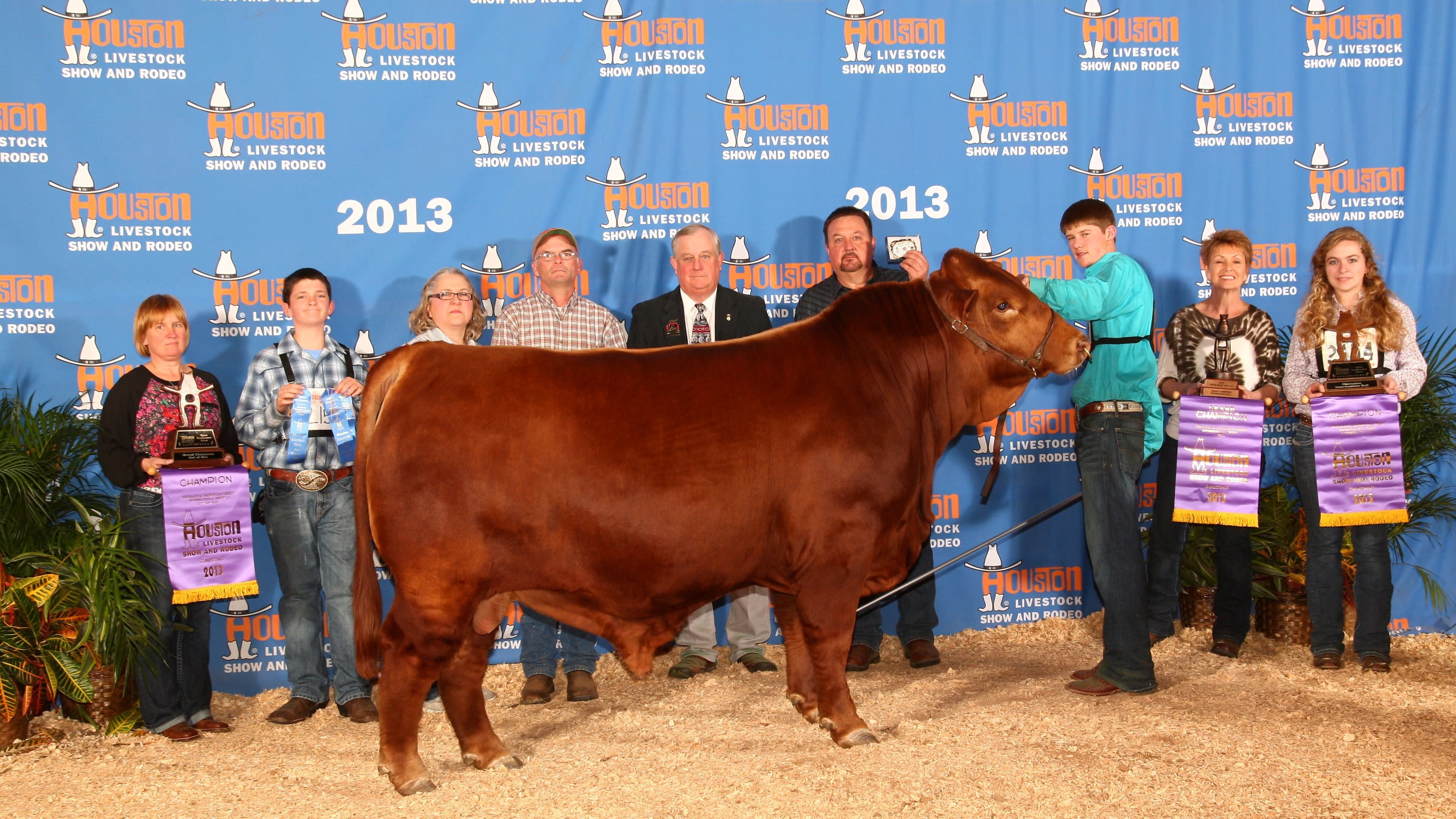 Grand Champion Bull<br>WPR's Gamechanger