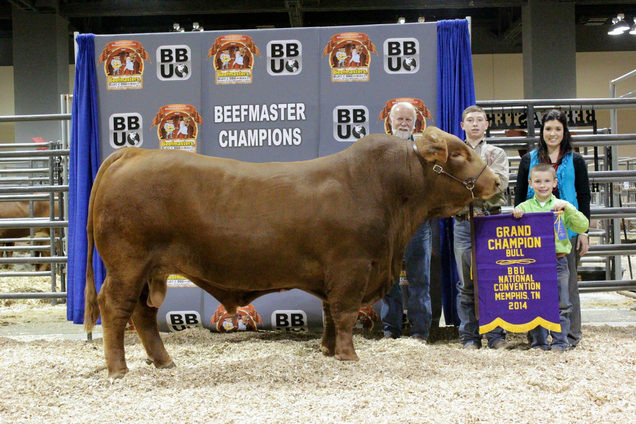 Grand Champion Bull<br>CHRK First Class owned by Channarock Farm