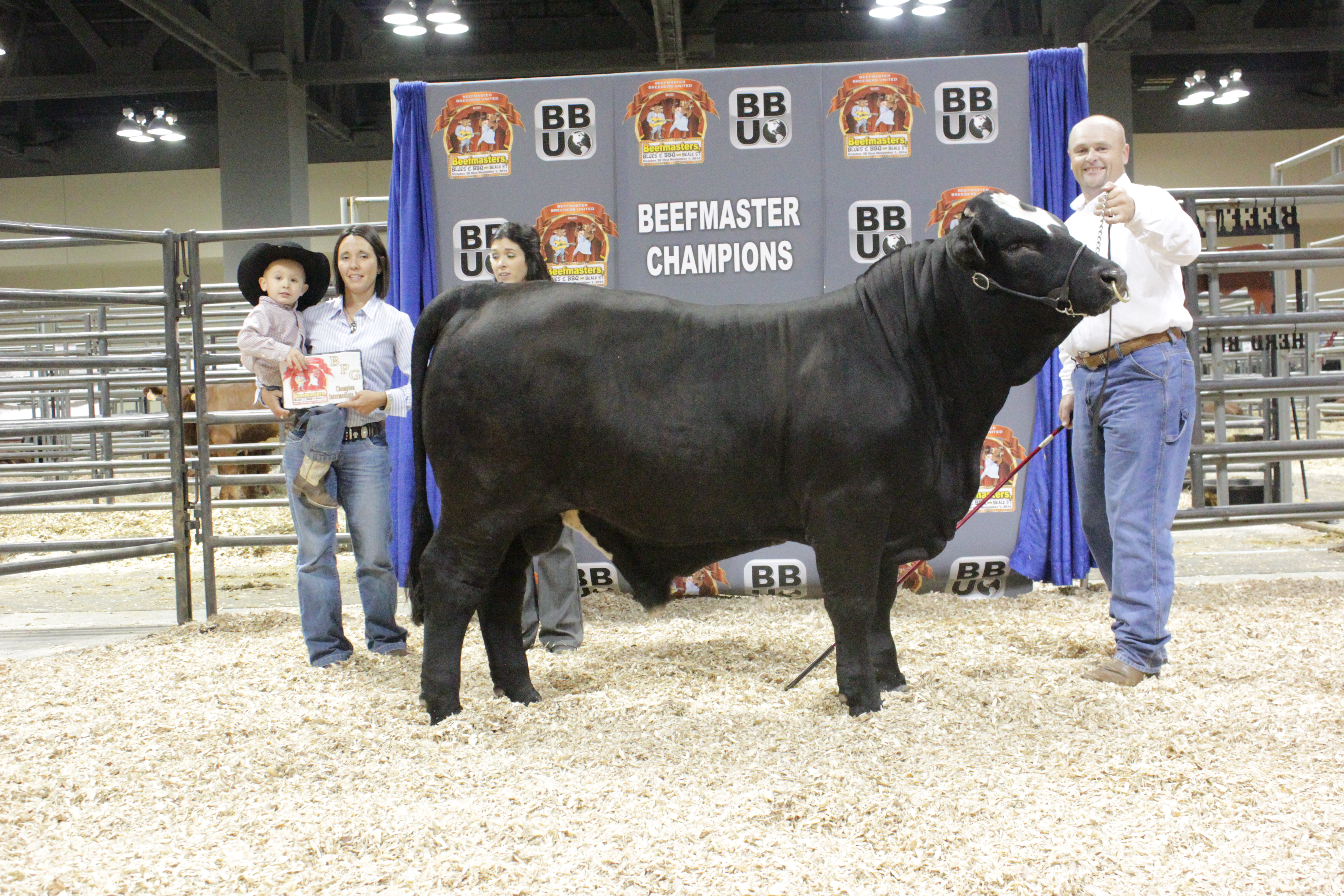 Intermediate Champion Bull<br>CAF Sir Jack owned by Rocking B Farms, Nacogdoches, TX