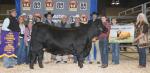 Reserve Champion Female (Open Show)<br>Grand Champion Female (Junior Show)<br>WR Roxie's Rachel shown by Riley McManus