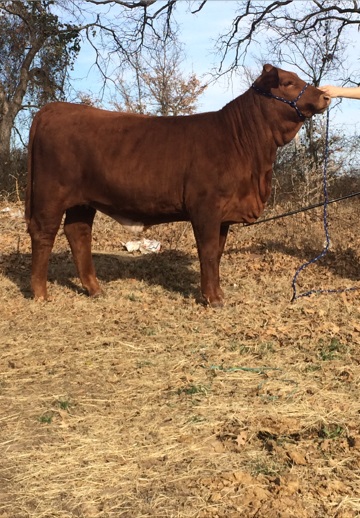 Lot 26b