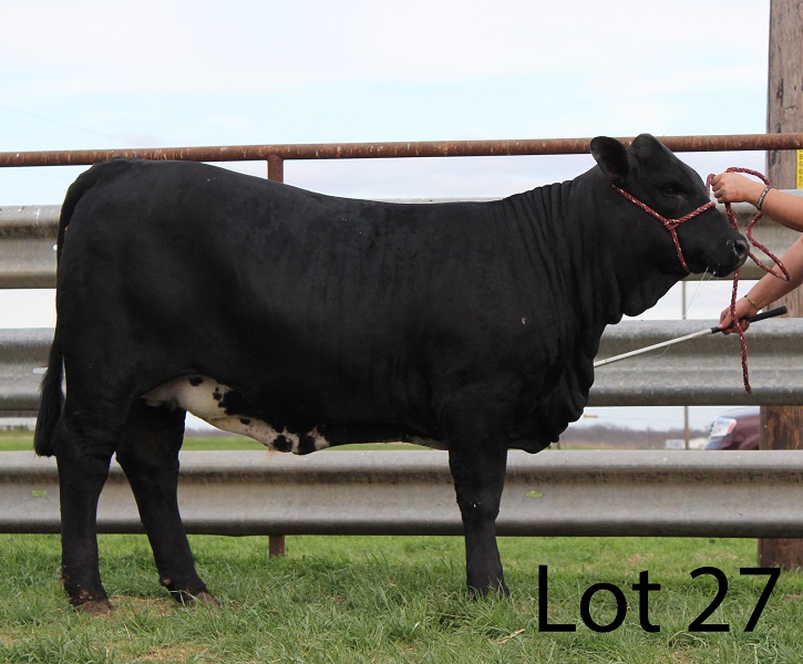 Lot 27
