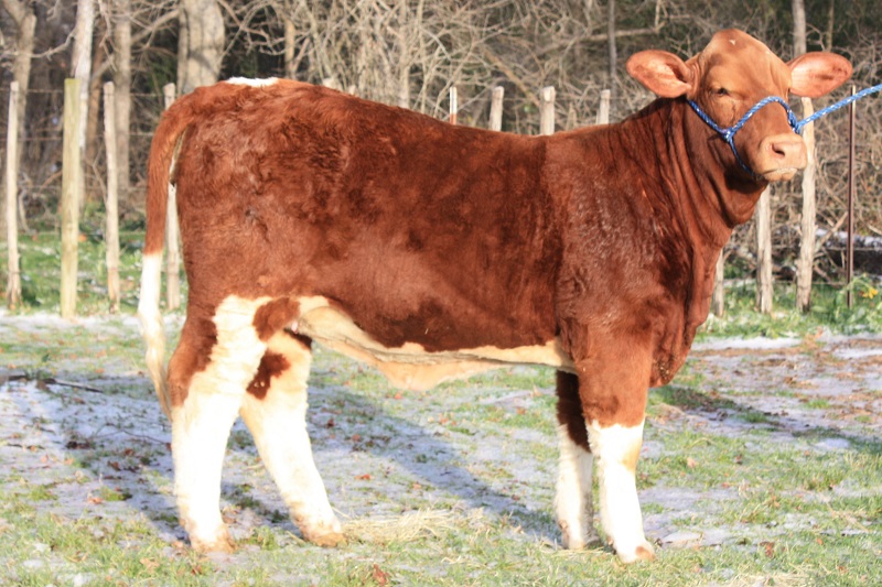 Lot 30