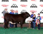 Reserve Grand Champion Bull<br>Emmons Ranch<br>Fairfield, TX