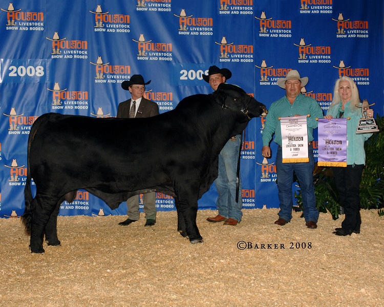 Lot 5<br>Semen from EMS Johnny Cash [deceased]