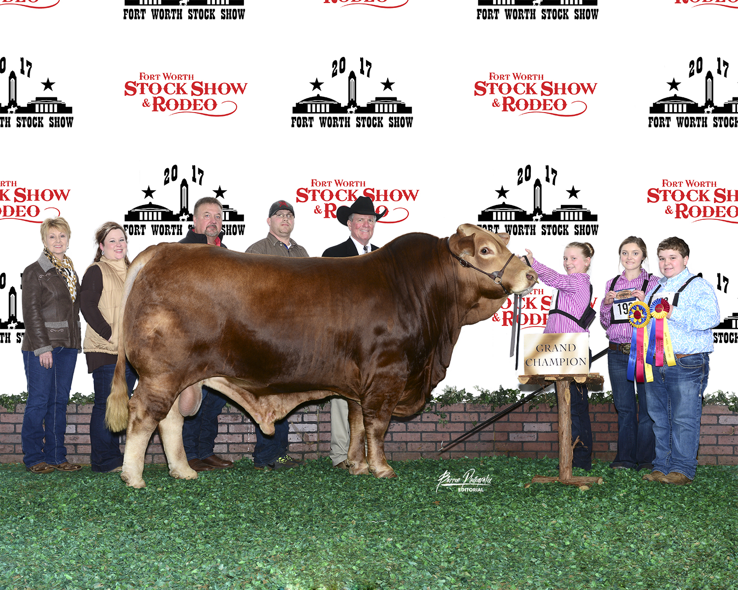 Grand Champion Bull<br>#71 Wallen Prairie