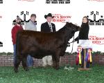 Reserve Champion<br>#53 Sage McManus