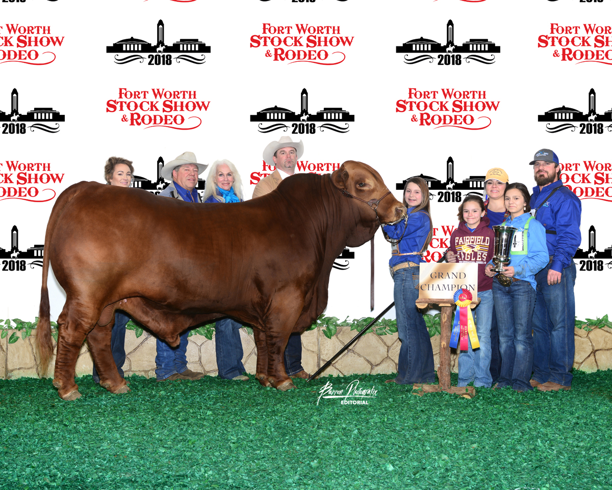 Grand Champion Bull<br>Emmons Ranch