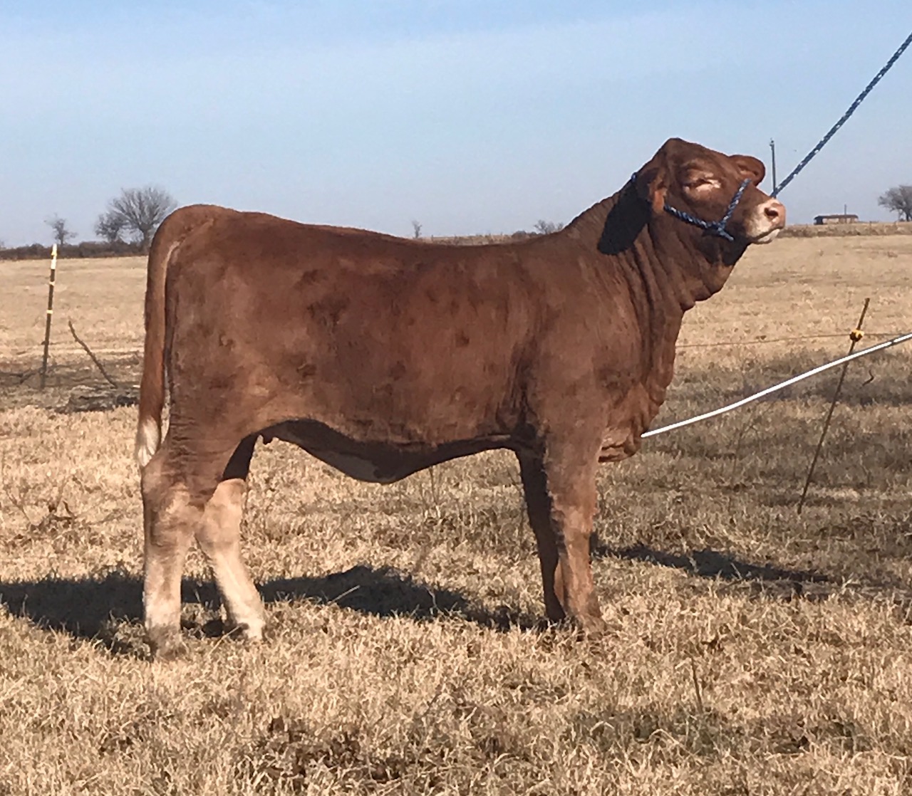 Lot 16<br>WR Dakota