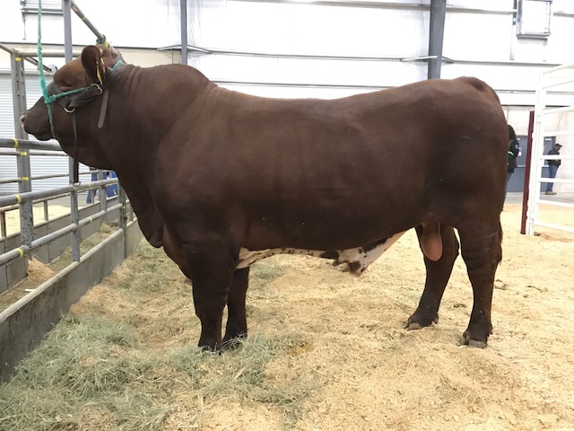 Lot 24<br>Red Iron