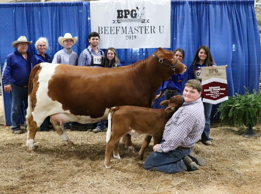 Reserve Champion Female - Open